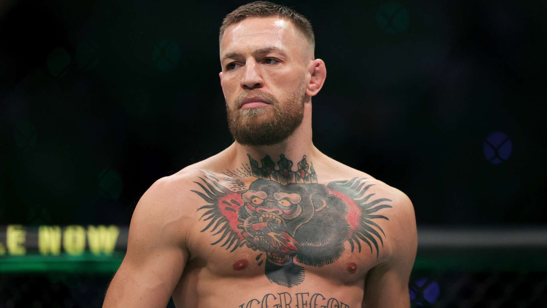 员在赛场上 员在赛场上